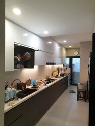 Palm Grove Avenue (D19), Terrace #577167991